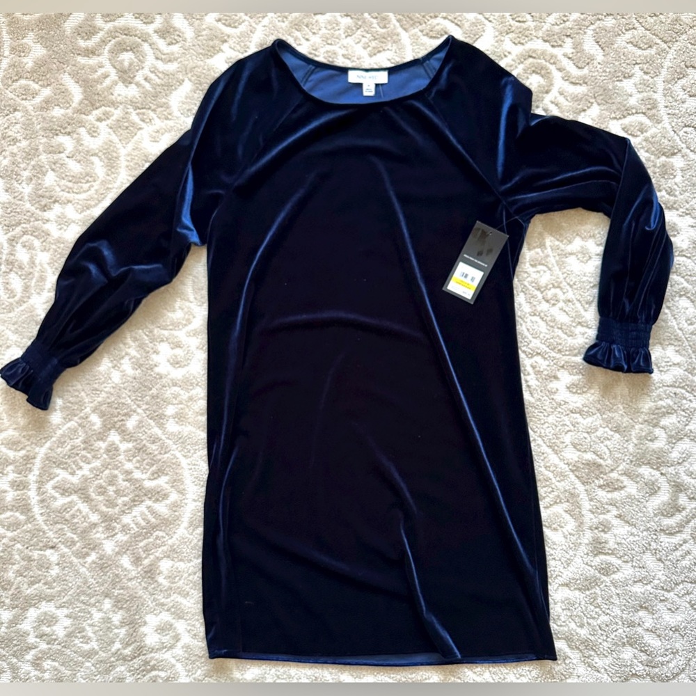 Velvet dress (NEW)